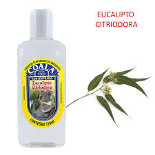 ESSENCIA COALA CITRIODORA 120 ML
